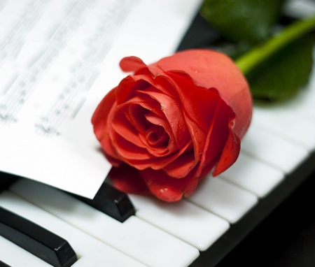 Первый всероссийский отбор РНО